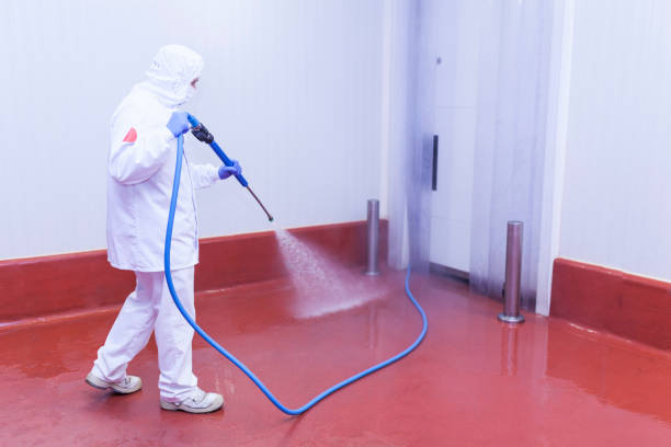 Best Soft Washing  in South Fulton, GA